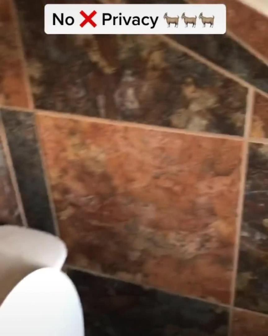 Person Sees Goats Staring Into Window When Using Bathroom Jukin Licensing