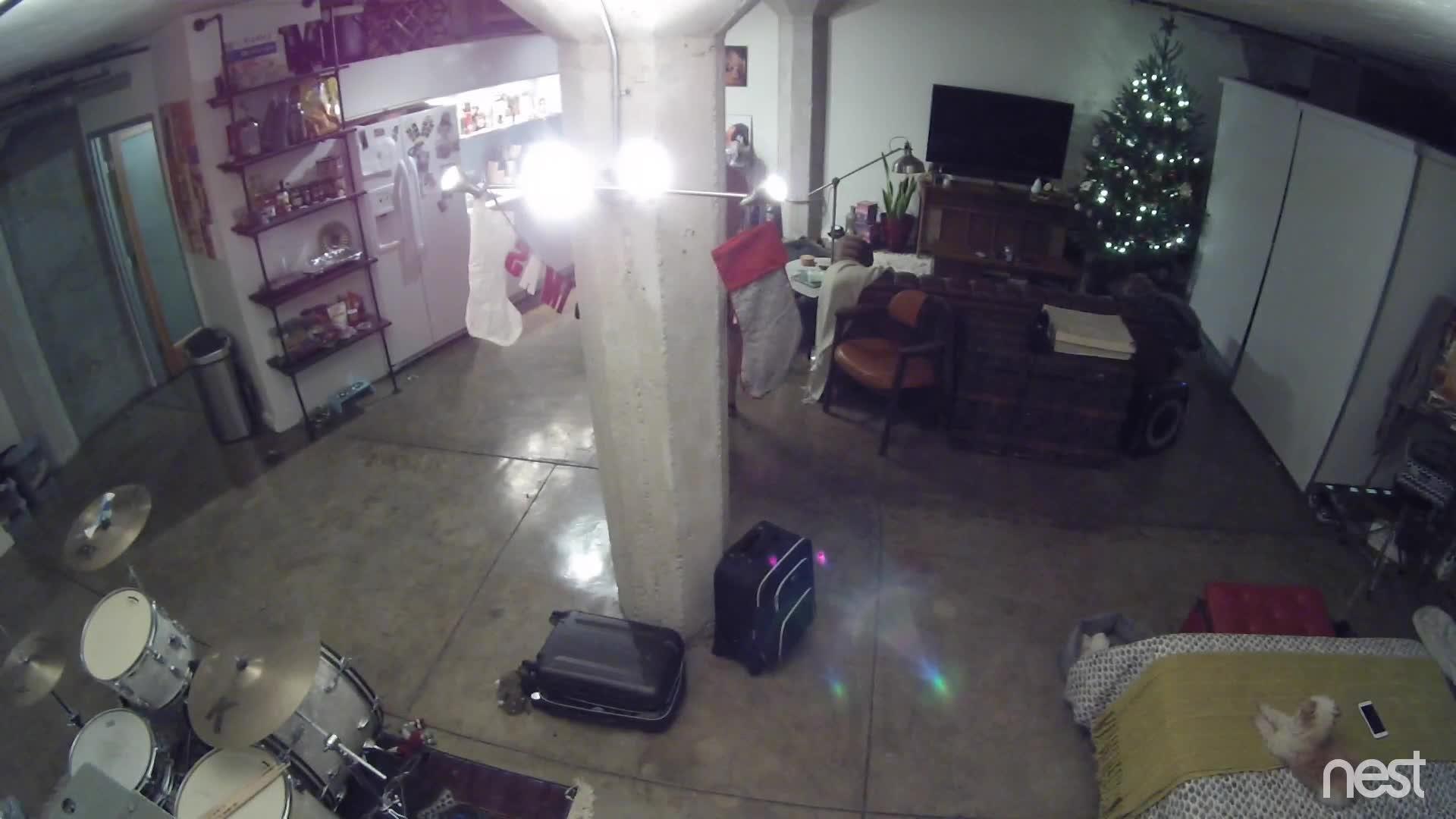 Christmas Tree Falls on Woman Jukin Licensing