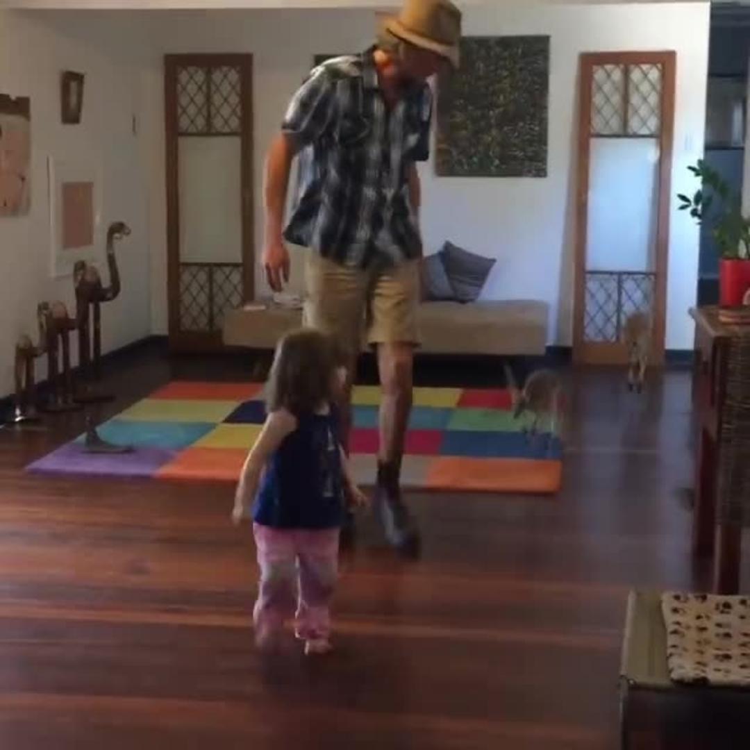 Baby Kangaroos Hopping in the House Jukin Licensing