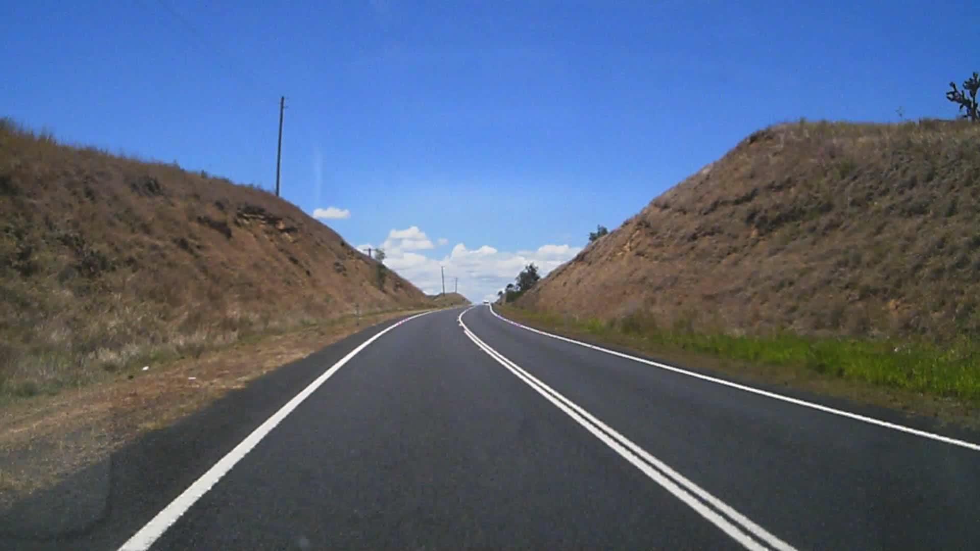 Bird Throws Snake At Family at Floyd McKinney blog