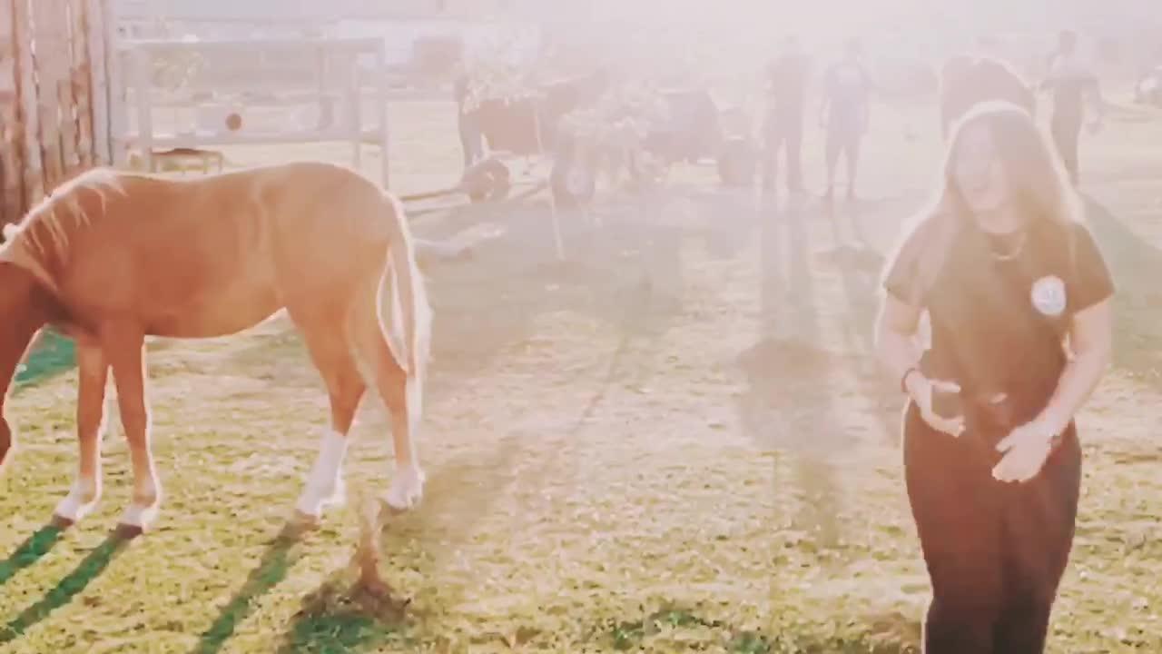 Woman Gets Kicked By Horse As She Tries To Pet Him Jukin Licensing