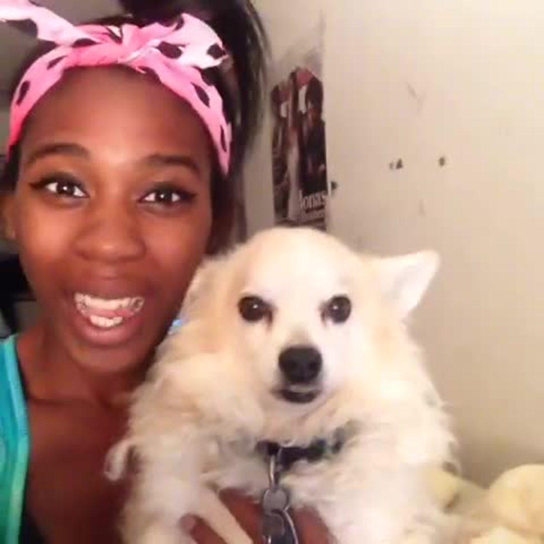 Pet Selfie Fail Dog Bites Jukin Licensing