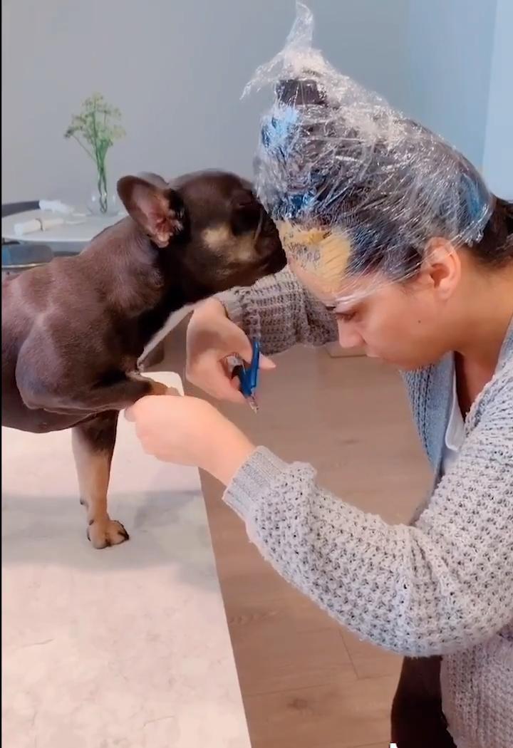 Woman Smears Peanut Butter on her Forehead to Distract her pet Dog