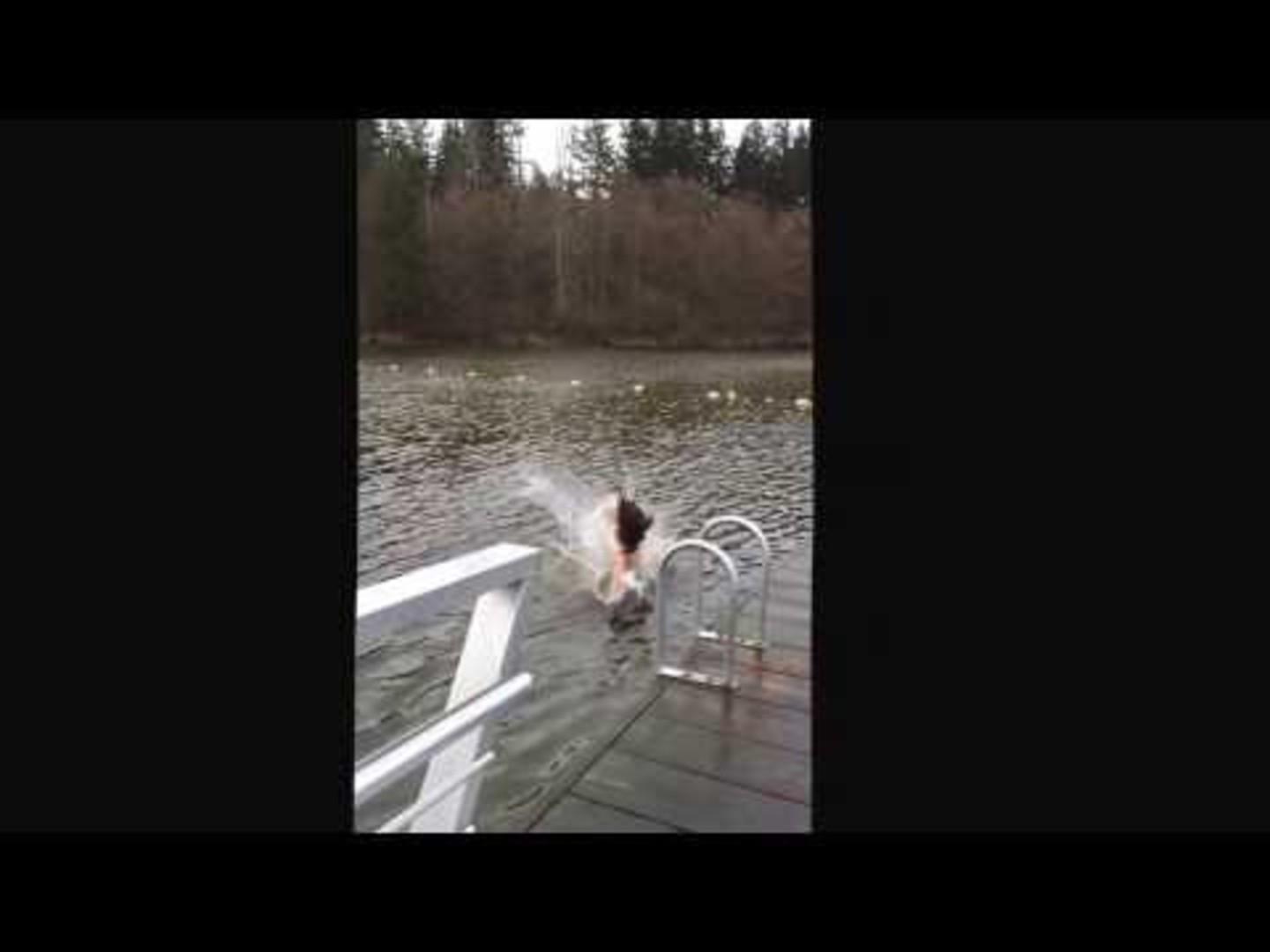 Girl Slips and Falls on Butt on Dock Jukin Licensing
