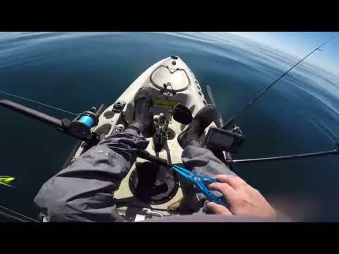 Mantis Shrimp Punches Through Man's Feet and Draws Blood Jukin Licensing