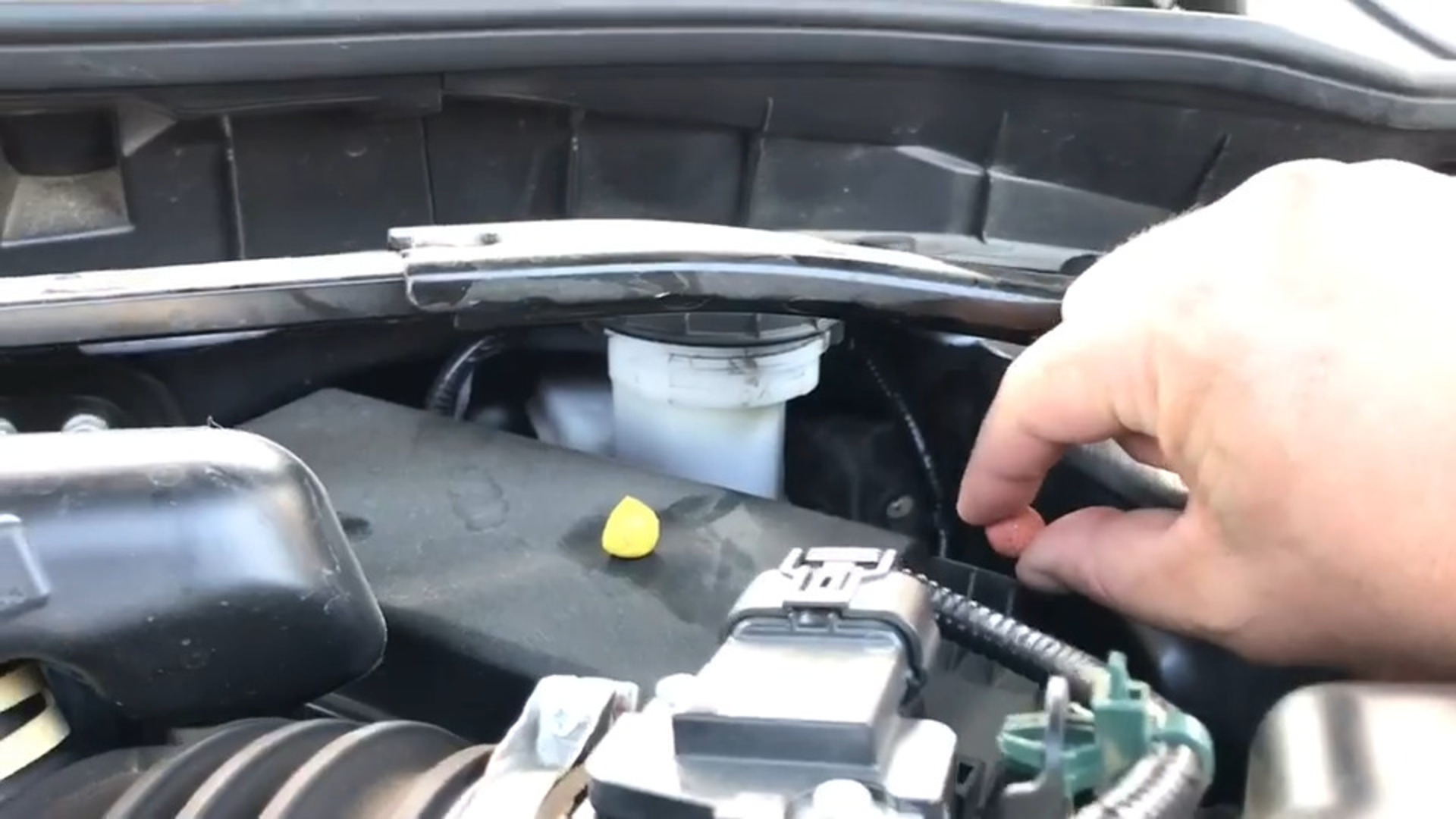 Kitten Rescued from Car Engine Jukin Licensing