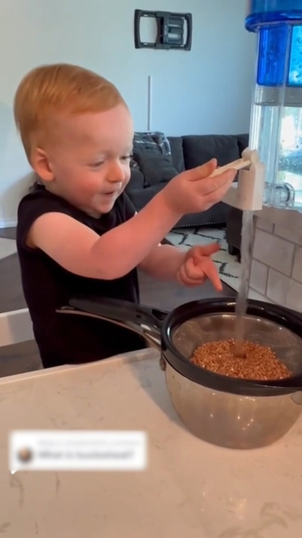 Toddler Makes Dinner With Buckwheat Jukin Licensing