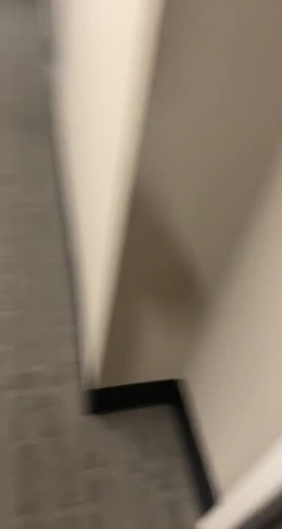 Dog Keeps Jiggling Door Handle to Let Herself Out and Join Her Humans