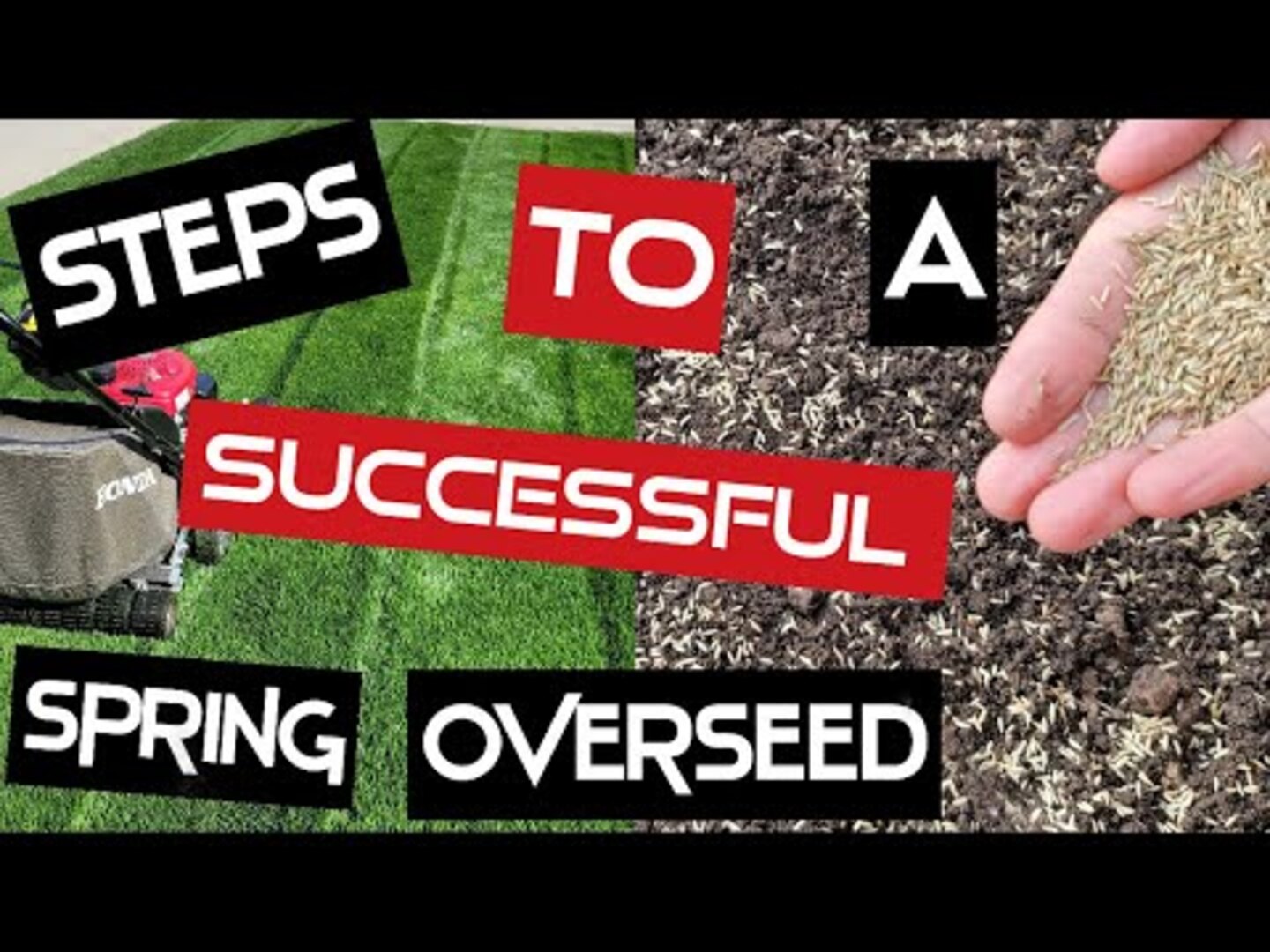 Man Gives Step by Step Tutorial on How to Successfully Over Seed Grass ...