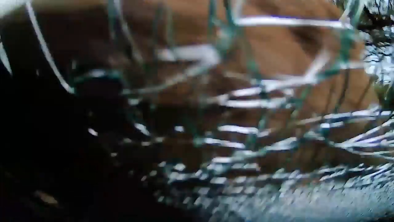 Kangaroo Crashes Into Car's Windshield While Crossing Road Jukin