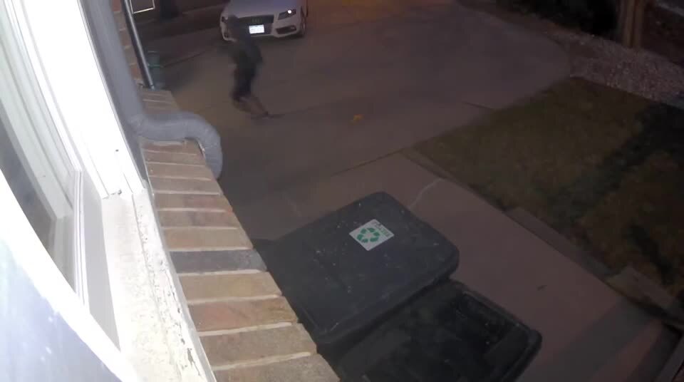 Man Freaks Out After Finding Raccoon in Trash Can Jukin Licensing