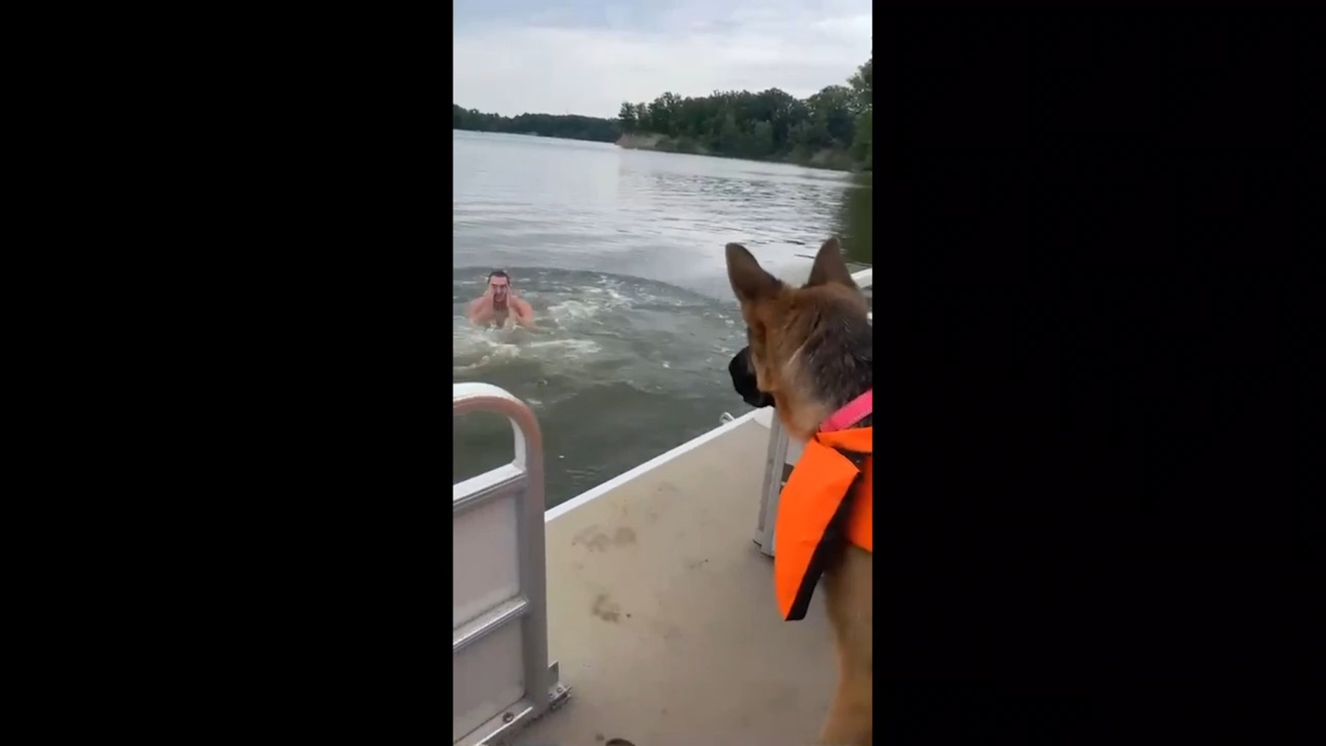 Dog Slips and Falls Off Boat Jukin Licensing