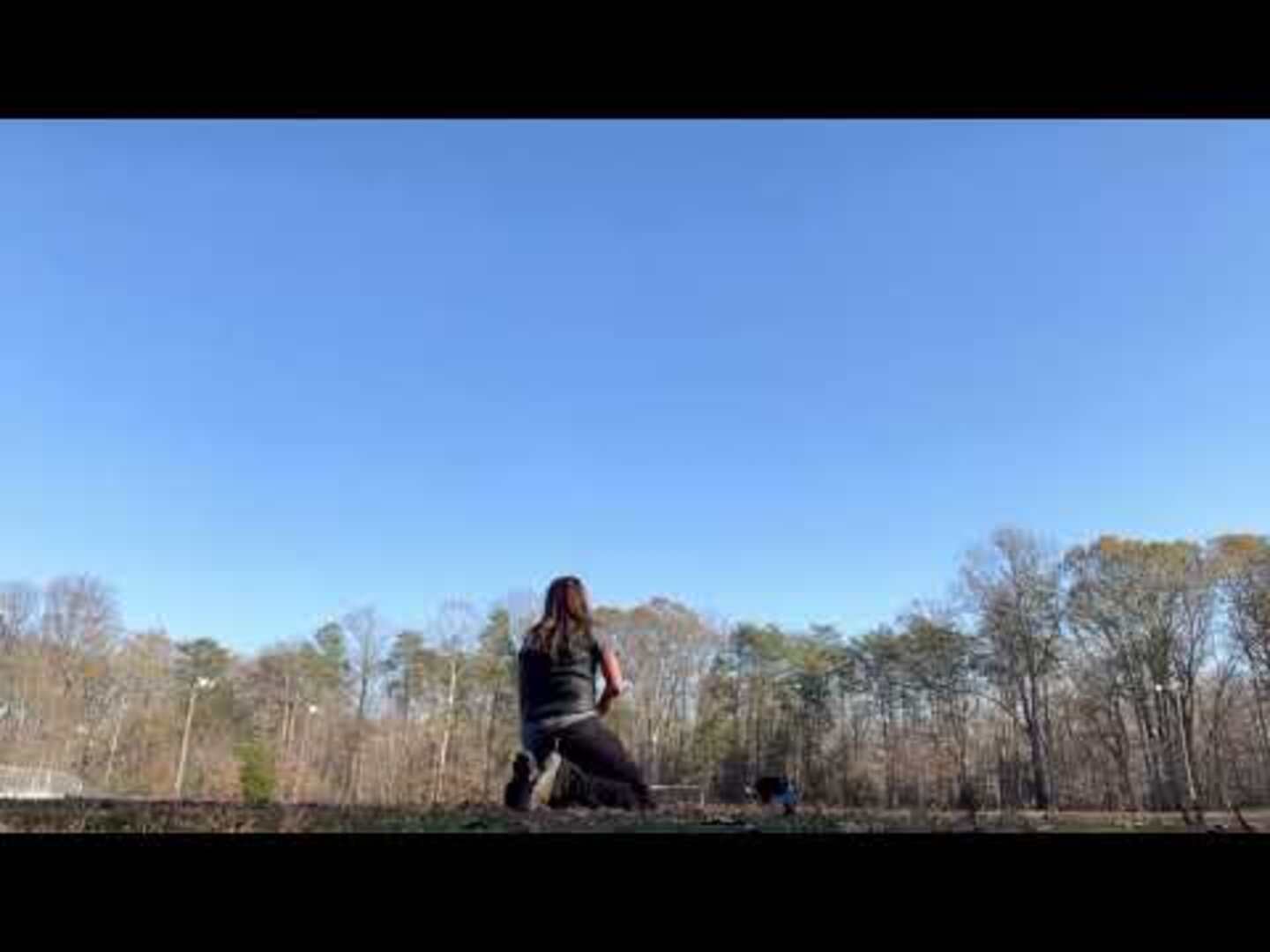 Border Collie Performs Various Frisbee Tricks | Jukin Licensing