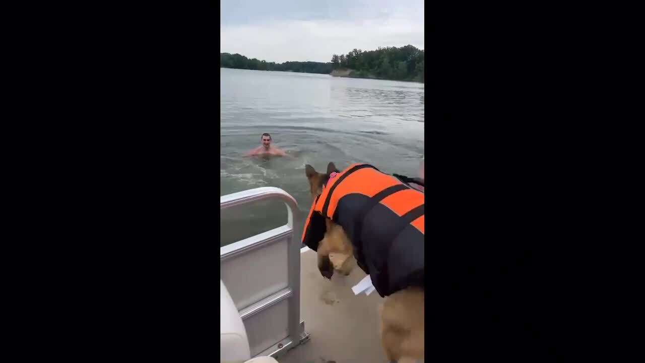 Dog Slips and Falls Off Boat Jukin Licensing