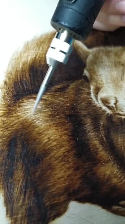 Pyrography Artist Crafts Well-Detailed Portrait of Squirrel | Jukin ...